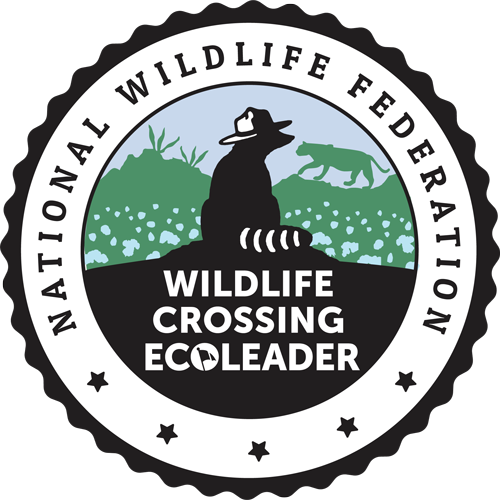 Wildlife Badge